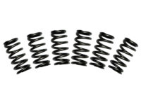 5.9L Cummins Valve Spring Kit 60lbs Dodge 1988-1998 12-Valve Set of 6 BD Diesel