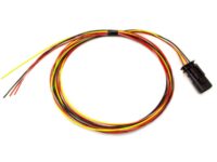 Frequency Input Pigtail 4-pin Male Banks Power